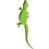 salgua